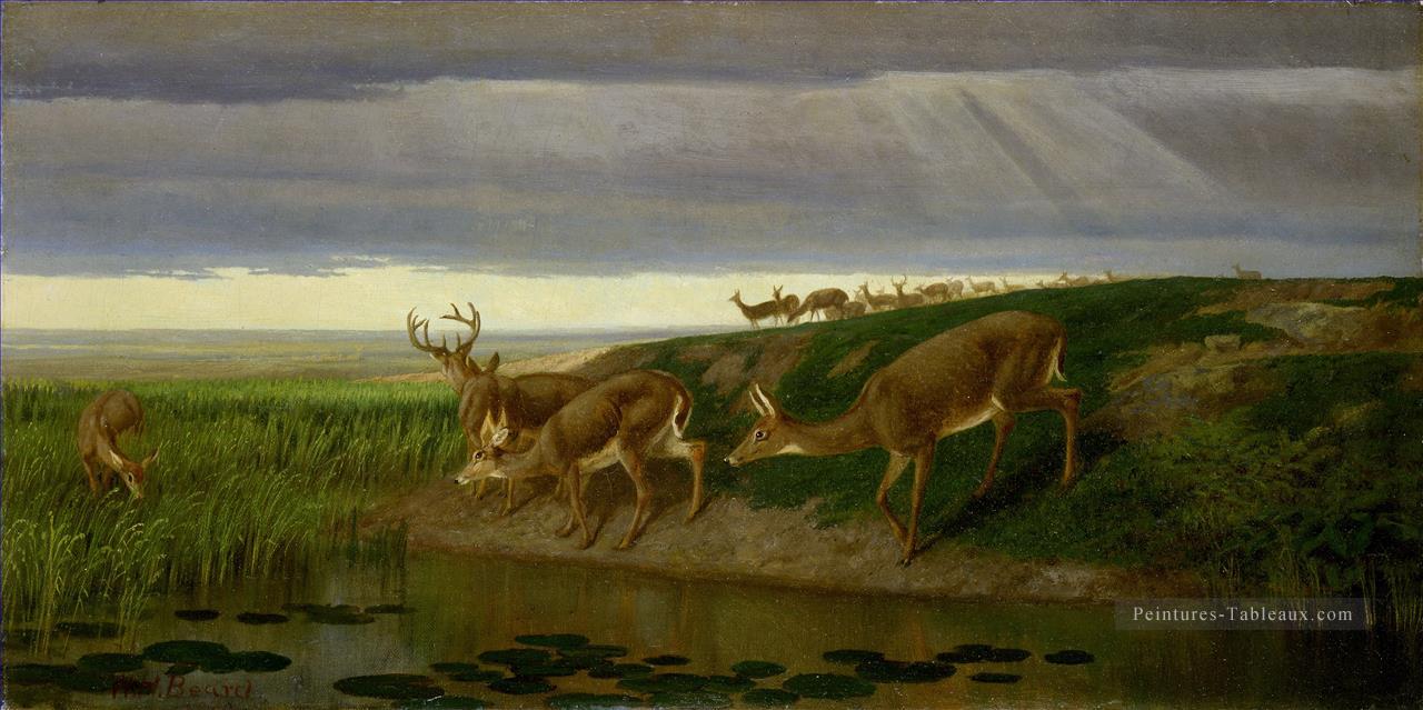 Deer on the Prairie William Holbrook Barbe Peintures à l'huile